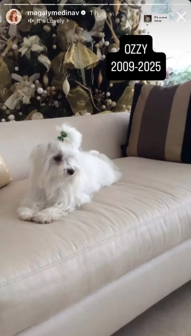 Magaly lamenta la muerte de su mascota Ozzy