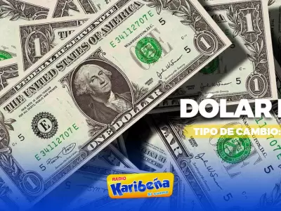 Precio del dlar hoy, 11 de agosto.