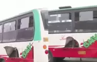 Carabayllo: Detonan explosivo dentro de bus de transporte pblico y deja al menos tres personas heridas