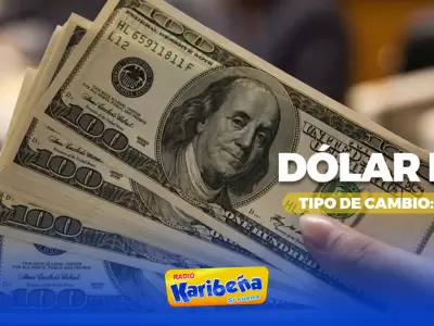 Precio del dlar hoy, 13 de agosto.