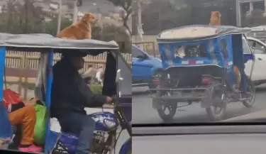 Hombre se viraliza tras llevar a su perrito arriba de una mototaxi