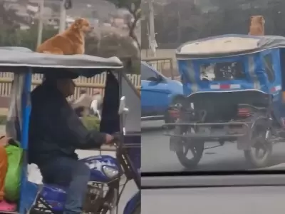 Hombre se viraliza tras llevar a su perrito arriba de una mototaxi