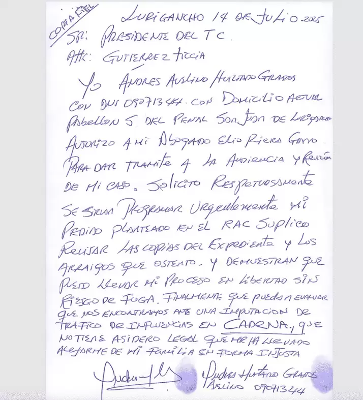 Carta de Andrs Hurtado al TC.