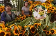 Flores amarillas en Per: Cul es el significado de regalarlas cada 21 de septiembre?