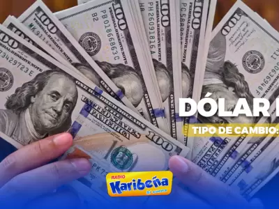 Precio del dlar hoy, 11 de noviembre.