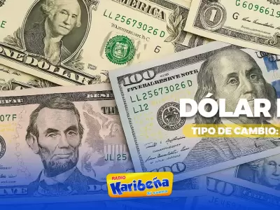 Precio del dlar hoy, 12 de noviembre.