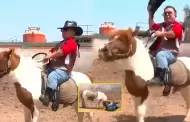 Tremendo roche! Chikiplum debuta como jinete de pony pero termina cayndose en vivo (VIDEO)