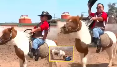Chikiplum protagoniza inesperado momento tras lucirse como jinete de pony.