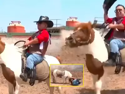 Chikiplum protagoniza inesperado momento tras lucirse como jinete de pony.