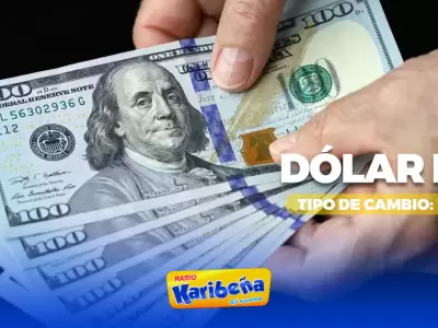 Precio del dlar hoy, 19 de noviembre.