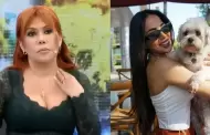 Magaly Medina critica a Onelia Molina tras muerte de su perrita: "Fue por negligencia suya"