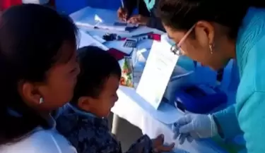 Influenza H3N2 lleg� al Per�.