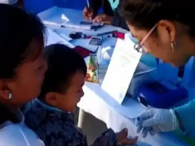 Influenza H3N2 lleg� al Per�.