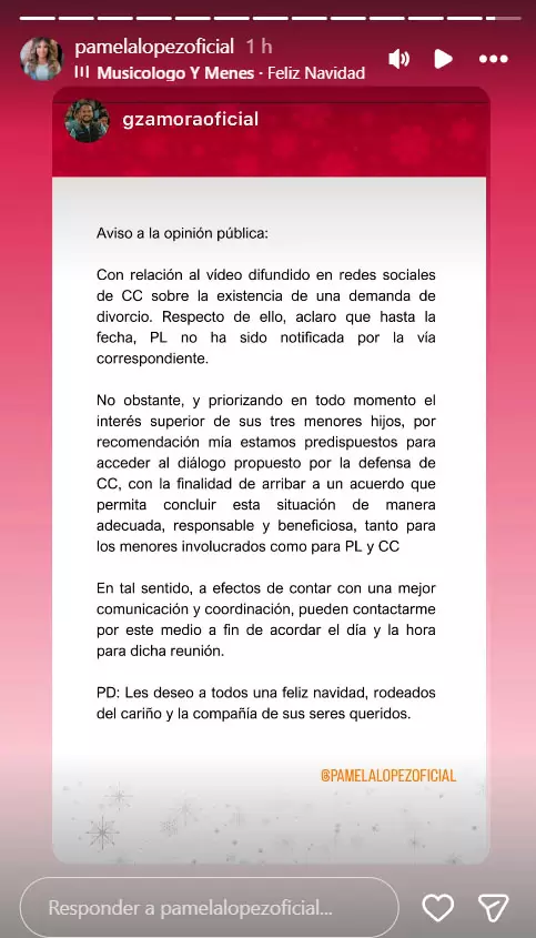 Historia de Pamela L�pez