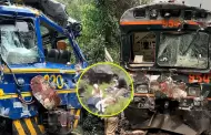 Cusco: Trenes chocan frontalmente en ruta hacia Machu Picchu y deja al menos 15 turistas heridos