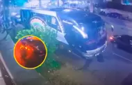 "Lo destroz� todo": Video capta explosi�n contra bus de Armon�a 10 de Walther Lozada en Trujillo