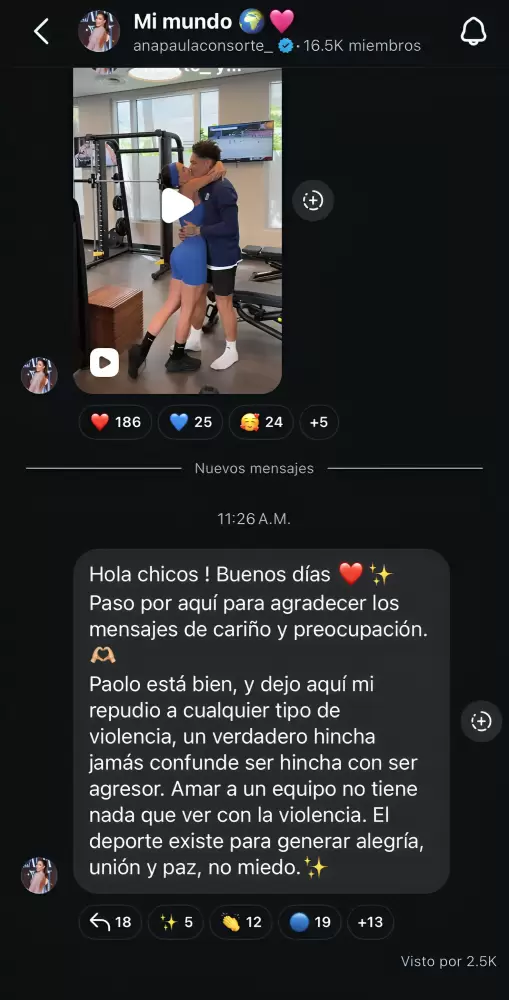 Ana Paula Consorte se pronuncia sobre estado de Paolo Guerrero tras agresi�n de hinchas.