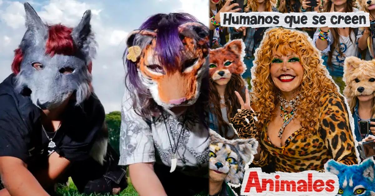 Sorry! Image not available at this time