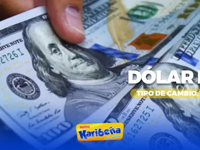 Precio del d�lar hoy, 11 de febrero.