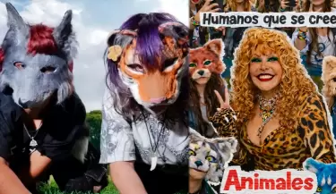 "Therians" se vuelven tendencia en redes y hasta la Tigresa del Oriente se pronuncia.