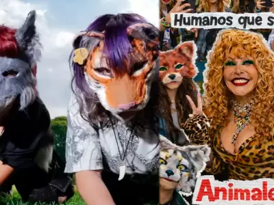 "Therians" se vuelven tendencia en redes y hasta la Tigresa del Oriente se pronuncia.