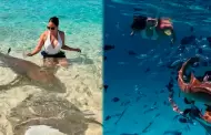 Melissa Klug impacta con video en Maldivas nadando entre tiburones y preocupa fans: "Ay, qu� miedo"