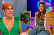 Magaly Medina arremete contra Laura Spoya por su accidente: "No eres hero�na de nada, la libraste"