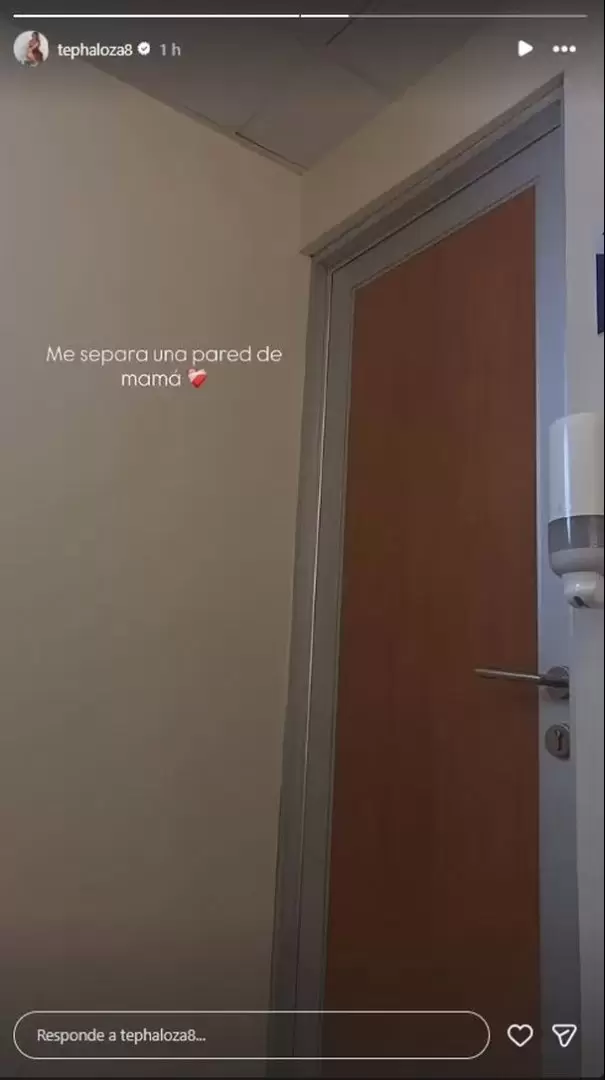 Tepha Loza revela que la separa una pared de su mam� que tambi�n est� internada. (Instagram)