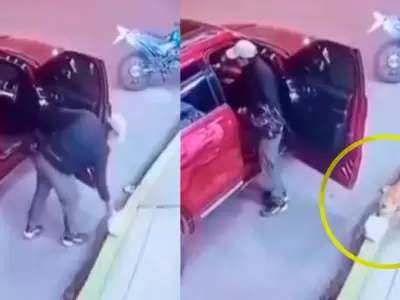 Tierno perrito de Huacho se convirti� en viral